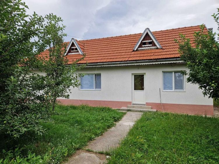 Vila P+1, caramida + a doua casa de BCA, teren 8000mp - 5