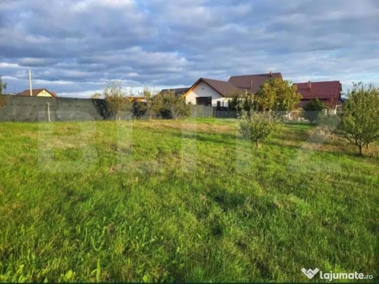 Oportunitate teren intravilan, 9 ari, zona Moara - 5