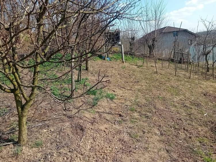 MARGINENI - Casa P+1, din caramida, construita 2010, 4 dormitoare, 600mp teren - 4