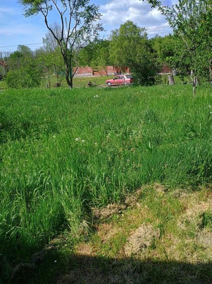 Viile Satu Mare teren inravilan de vanzare / Szatmarhegy, elado telek - 2