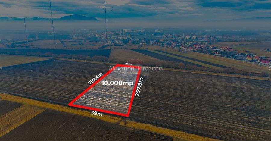 Teren 10,000mp Bod/Extravilan