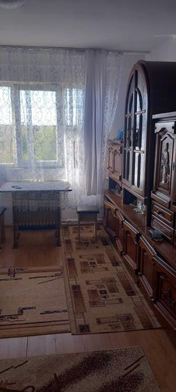garsoniera de vanzare - 5