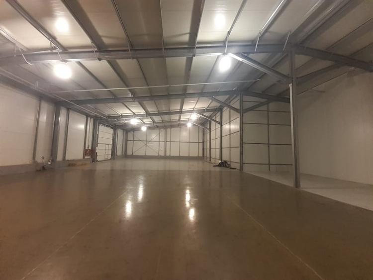 Ovidiu, EUROHALA, 720 mp., deschidere DN, standarde europene - 1