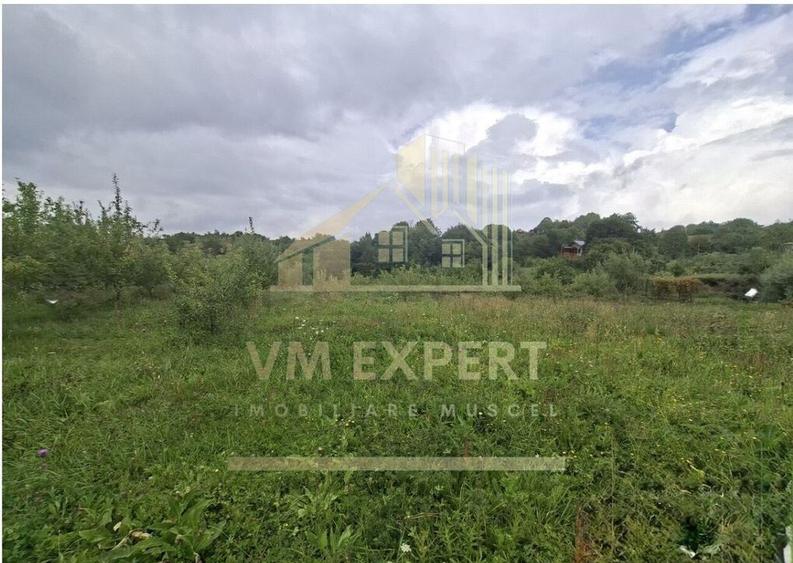 TEREN 20.621 MP CAMPULUNG - 14