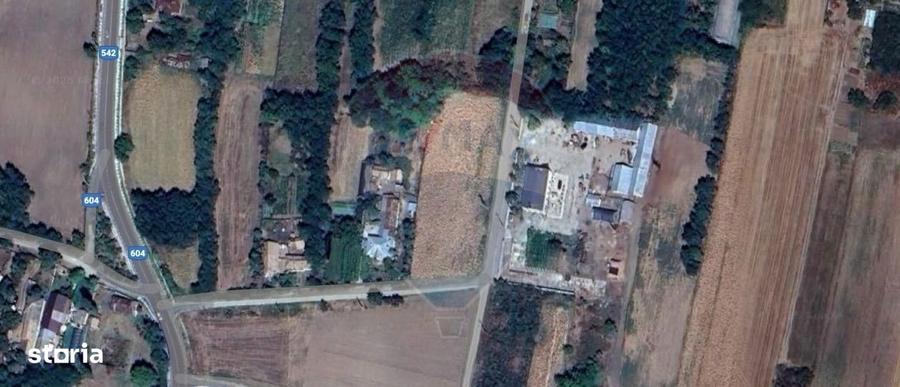 Teren 4,833mp Amarastii de Sus - 3