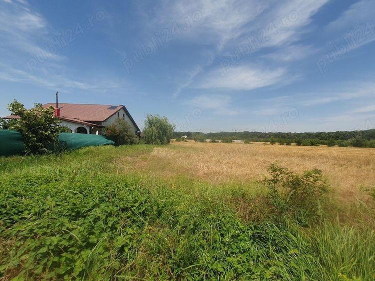 Teren situat in Balotesti,langa padure,acces drum pietruit, 28000 euro - 2