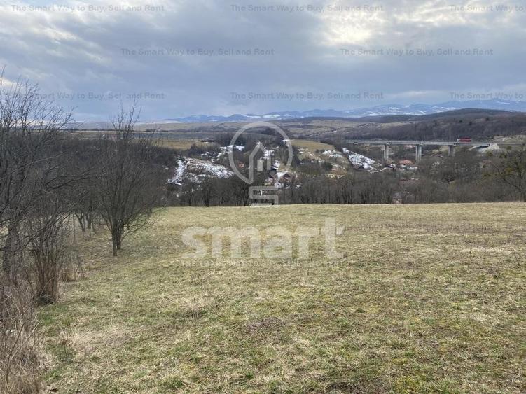 Teren intravilan cu CF 5400mp front 17 Savadisla jud Cluj - 11