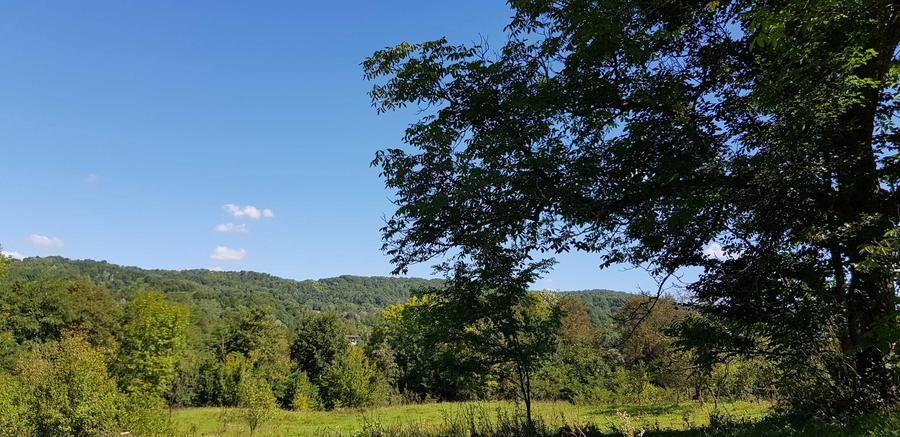 Teren intravilan Provita de jos(linga Breaza) PRAHOVA - 2