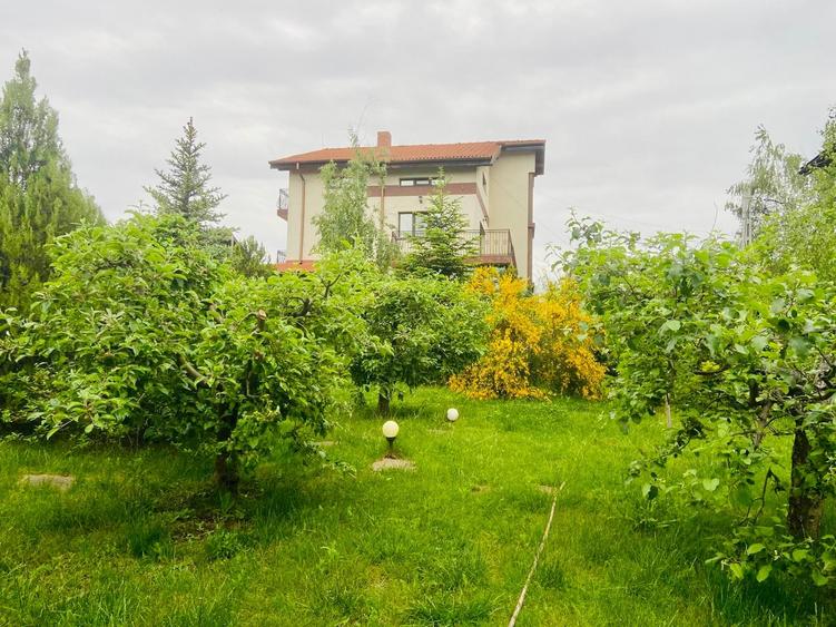 Vilă | 7 Camere |  Ds+P+1E+M | Teren 1346mp | Ieșire la Lac | Comuna Berceni - 3