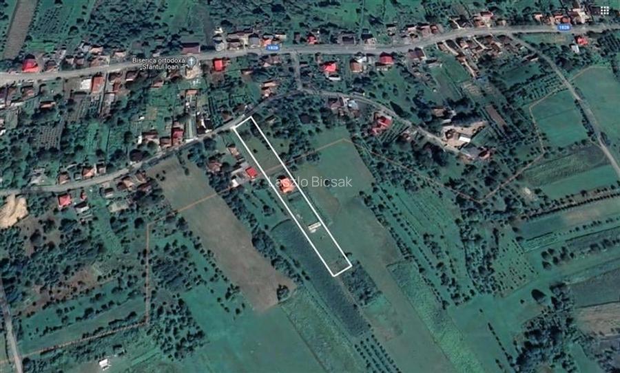 FILM! Domeniu de 5.000mp +Casa, in Berchez:o bijuterie ascunsa a Maramuresului