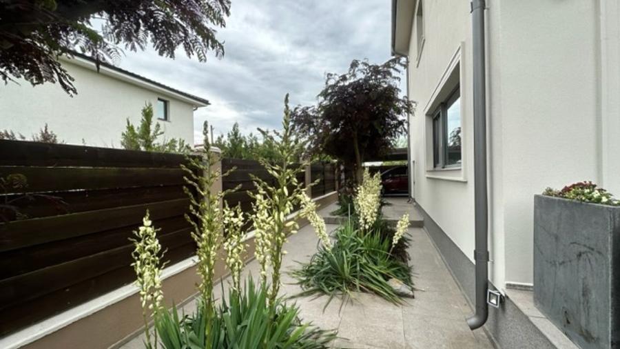 REV2002908 Casa individuala cu teren 1300 mp panouri fotovoltaiceSnagov Ghermane - 6