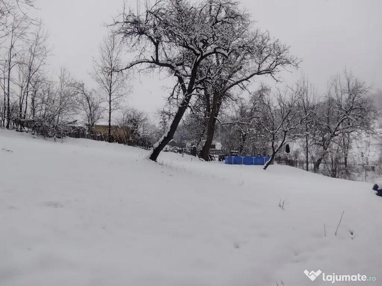 Casa boiereasca Urseiu - 11