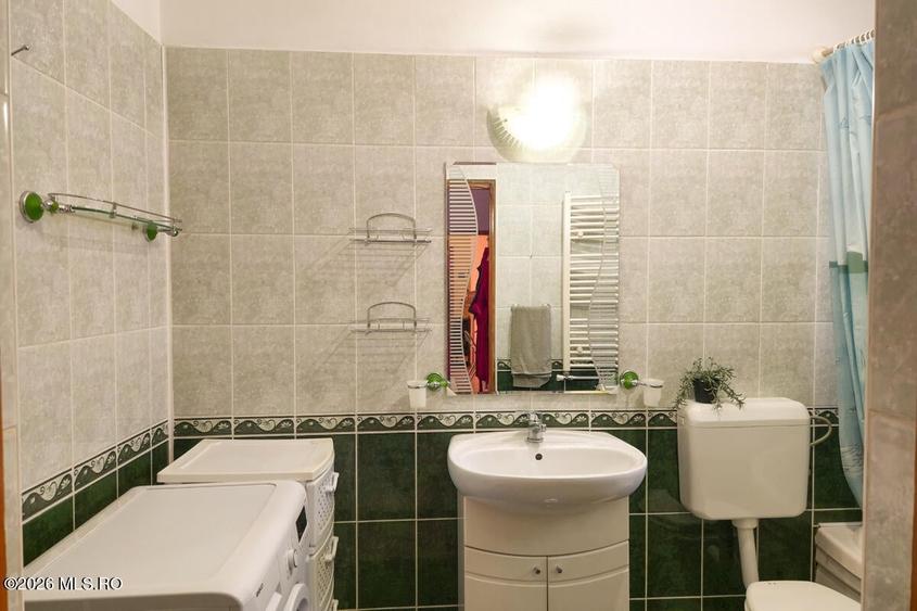 Lunei - Ion Neculce, 2 Apartamente. Mansarda 157 mp. Anexe, Lot 475 mp - 12