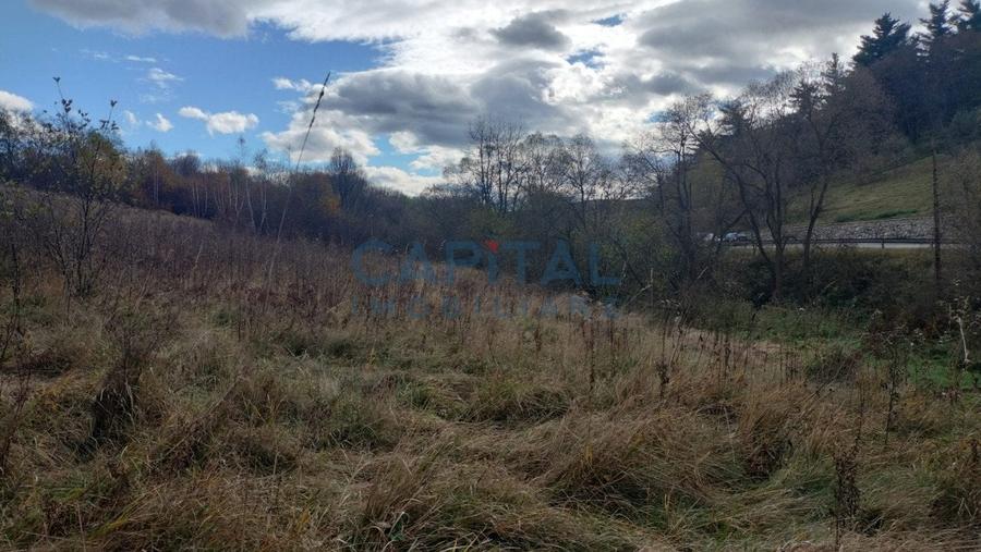 Teren intravilan de vanzare cu Autorizatie de constructie, Feleacu - 7