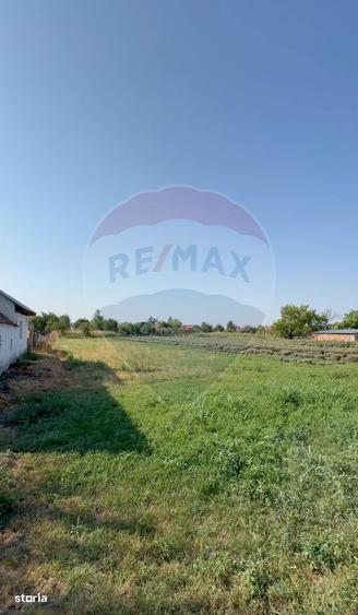 Teren 1,439mp Bobda / Strada Principala - 2