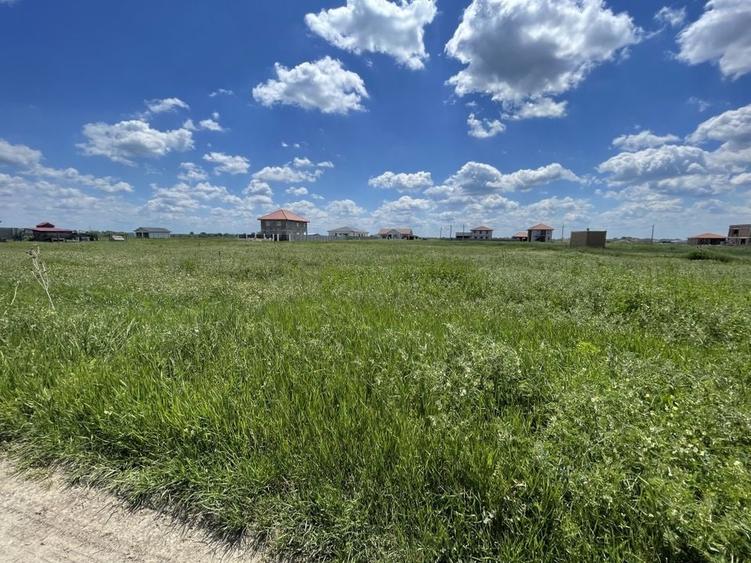 Teren Remetea Mare 720mp -2 fronturi I - 10