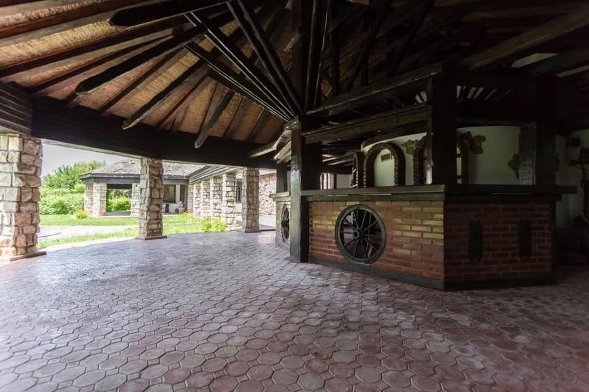 Casa individuală de vânzare Snagov - 8