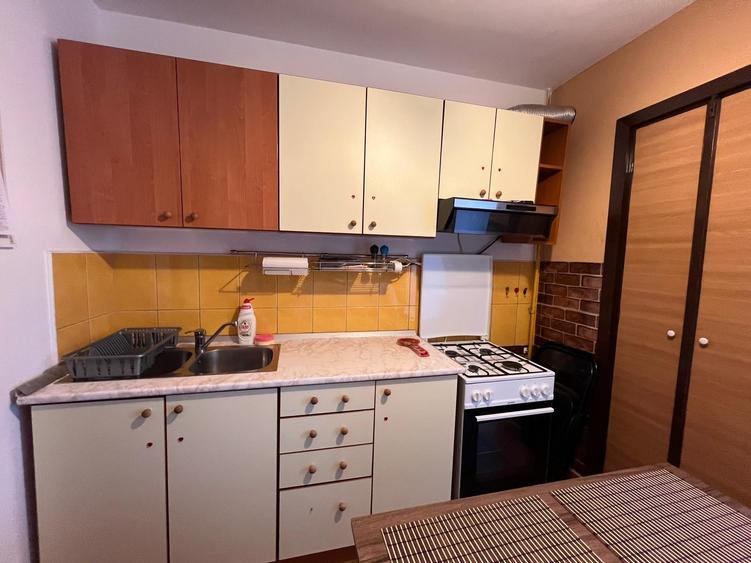 Apartament de inchiriat, o camera, decomandat, 42 mp, Metalurgie,(ANL) - 6