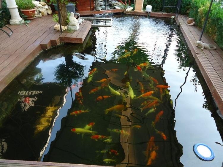 Vila piscina superba gradina matura cu iesire directa la padure - 11