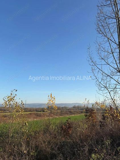 Teren extravilan in total 18.532 mp in Sat Gurasada, Jud. HD.