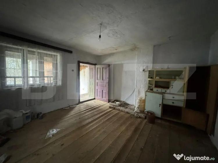 Casa cu 2 camere in Densus, 20 km de Manastirea Prinslop - 4