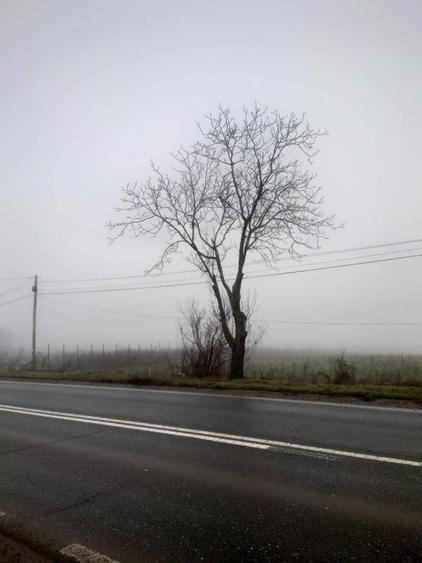 Vand teren Vanatori DN26 - 2