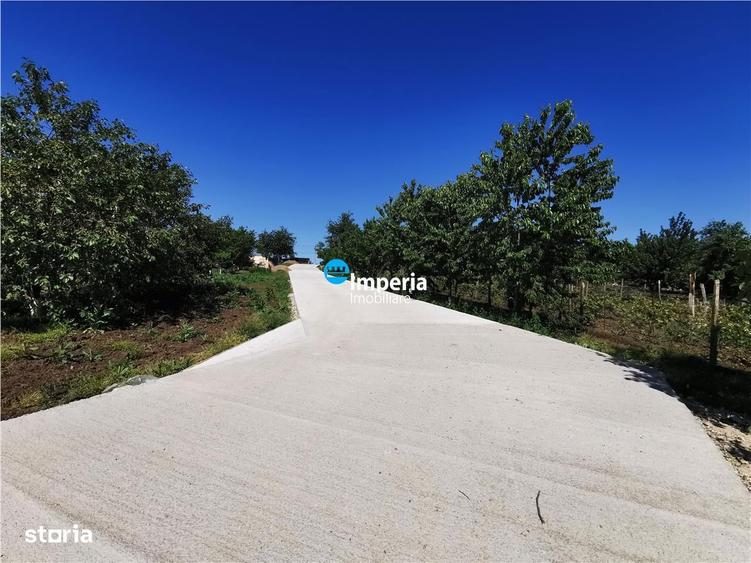 Parcele teren pentru casa Dorobant - 3