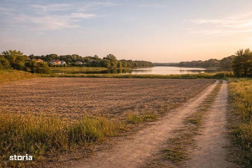 Teren vanzare Buftea intravilan - 1