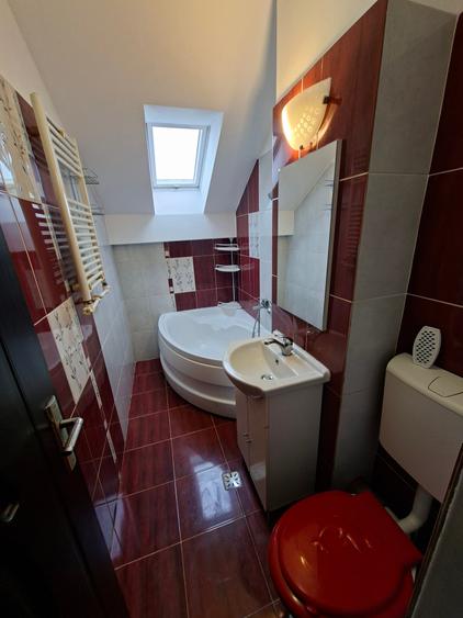 Calea Sagului,  mobilat si utilat, perfect pentru investitie - 6