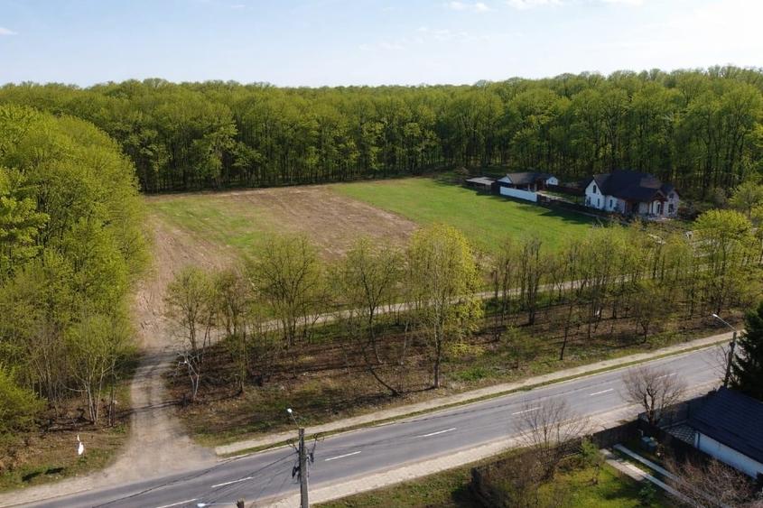 EXCLUSIVITATE-PROIECT UNIC IN PADUREA SNAGOV! Loturi de teren , PUZ rezidential - 4