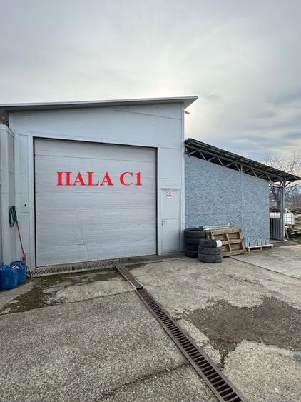 Hala 223 mp cu teren 600 mp, inchiriere/vanzare, Comanesti, jud. Bacau - 5