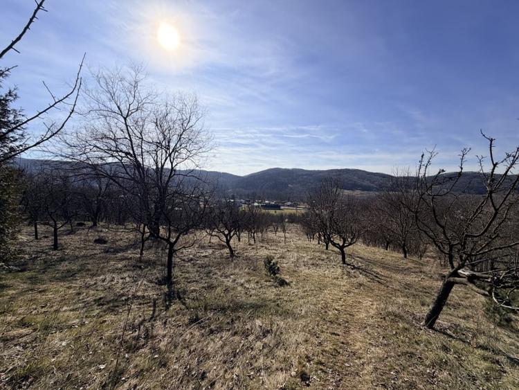 Refugiu Exclusivist Prahova Casa cu 5.2 ha, Panoramă Pârâu și Potențial Turistic - 39