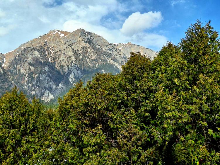 Vila Zamora, Busteni - 7