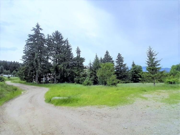 Vanzare teren intravilan Bran, 997 mp, D: 21.93 m, comision 0% - 4