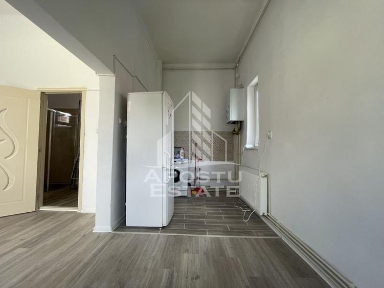 Apartament spatios patru camere Colegiul Banatean - 3