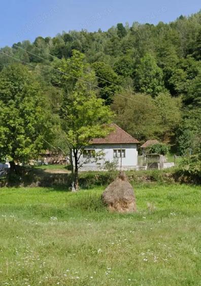 Vand casa ?i teren in Munteni, comuna Bulz, cu ie?ire la DJ - 9