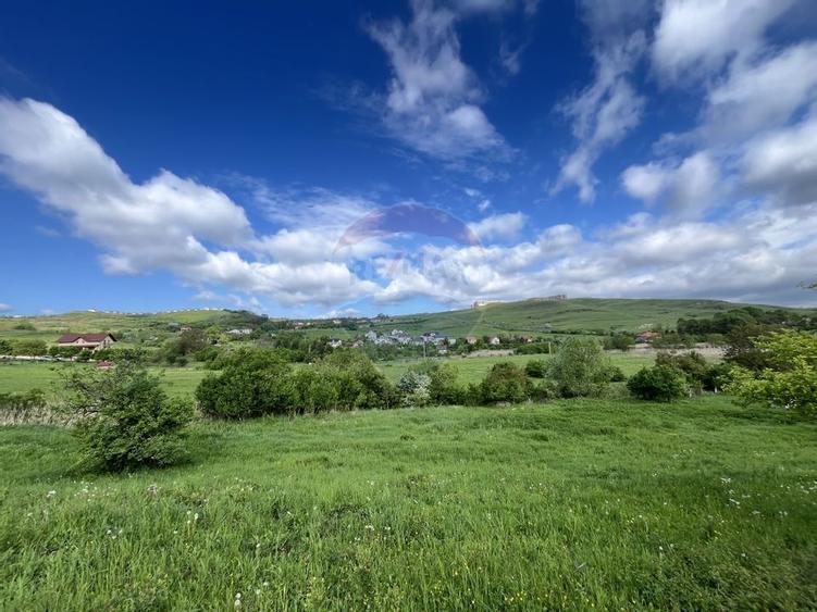 Teren cu PUZ Cluj-Napoca | Casa individuala | Borhanci-Sopor - 2