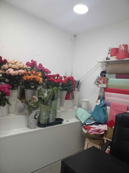 Vand spatiu gara de nord cu chirias stabil - 1