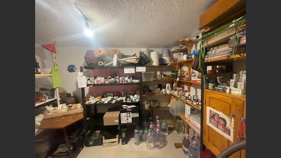 Casa cu garaj in Calnic, 231 mp construiti - 10