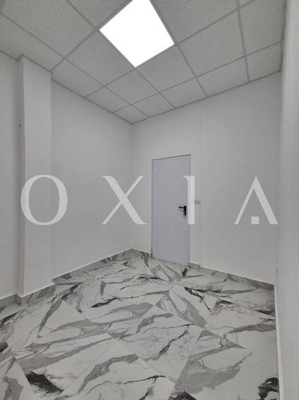 AX1198 Blascovici, Strada Maslinului, Spatiu Comercial, Comision 0% - 17