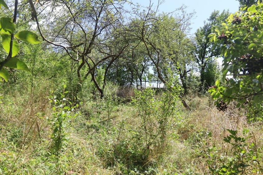 Spre vanzare proprietate centrala cu vad comercial - 8