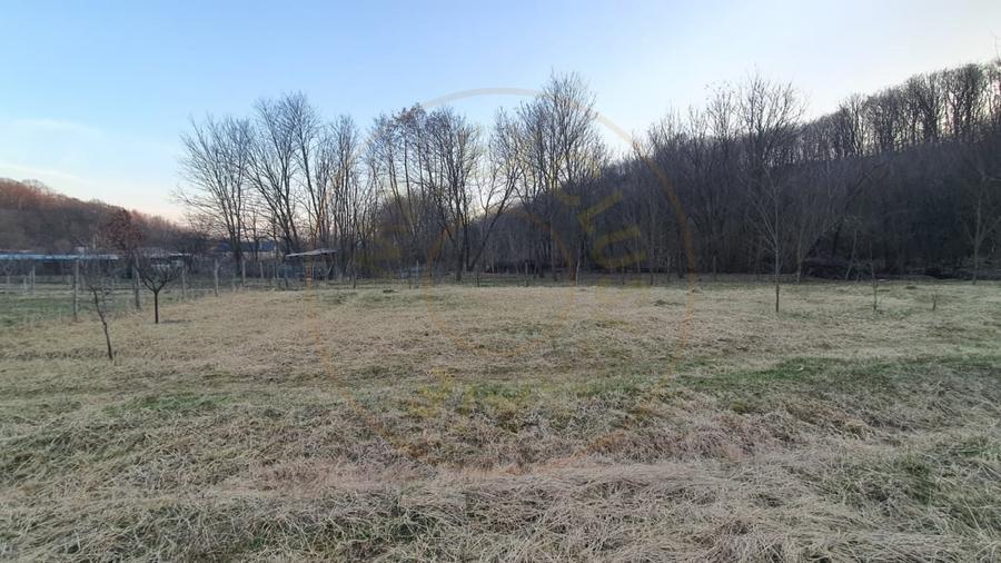 Teren intravilan pentru Casa de Vacanta - Mosoaia -Basangesti - 6