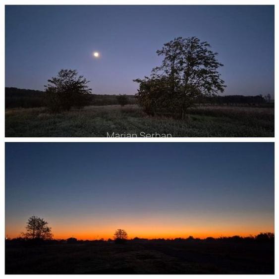 De vanzare - TEREN construcții 700 mp - lizieră - Siliștea Snagovului