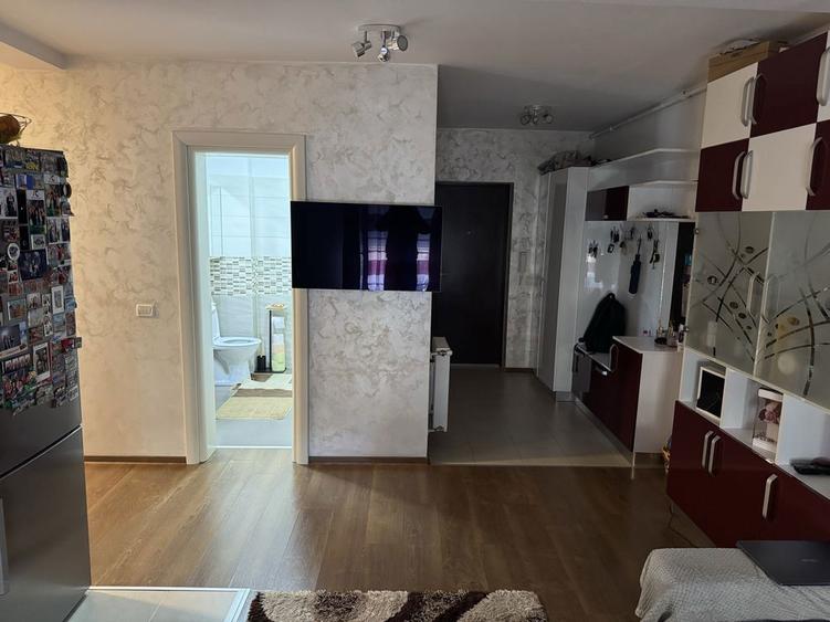 Vand aprtament 2 camere Dumbravita - 14
