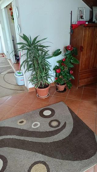 Casa Vila de vanzare in Orizont, Livezeni, Murss - 10