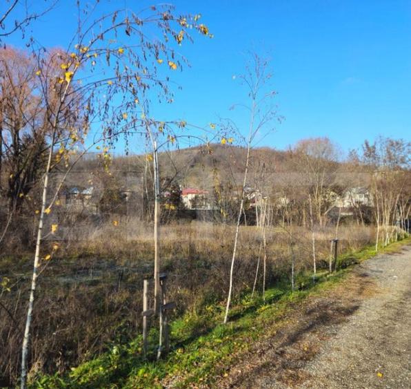 Teren intravilan 738 mp, zona Viforata, Comision 0 - 11