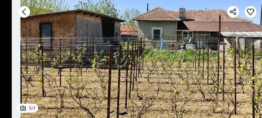 vand casa Mitreni - 4