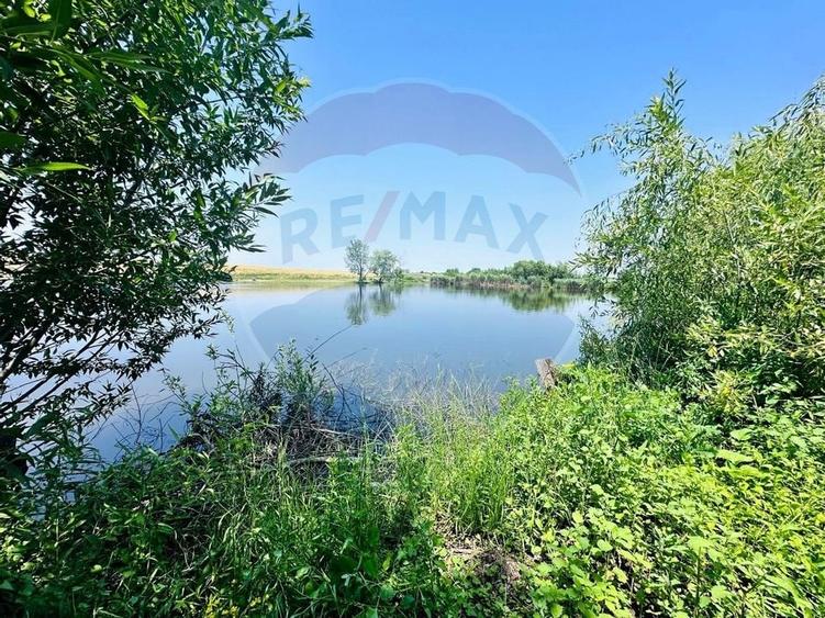 Teren 1537mp cu Livada si Iesire la Lac in Niculesti-Dambovita - 1
