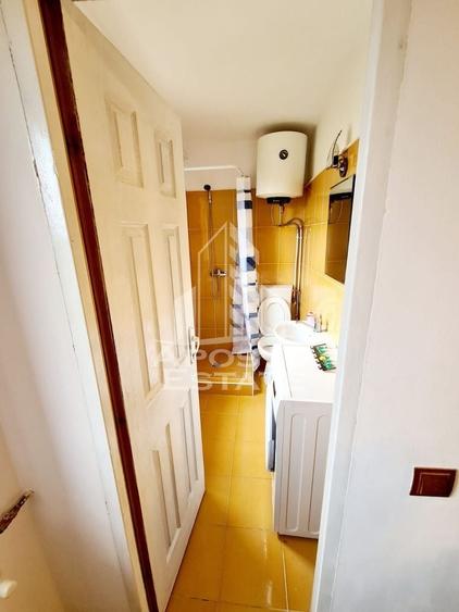 Garsoniera Buziasului - 11