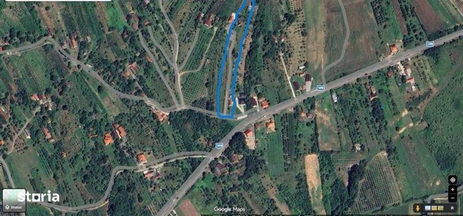 Teren Orasu Nou Vii ,Intravilan 38 Ari , Casa + Livada pomi fructiferi - 5